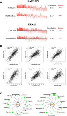 Upregulation of circ_0008812 and circ_0001583 predicts poor prognosis and promotes breast cancer proliferation